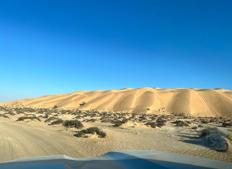 Picture 7 for Activity Salalah: Desert Safari & Sand Bashing in Empty Quarter