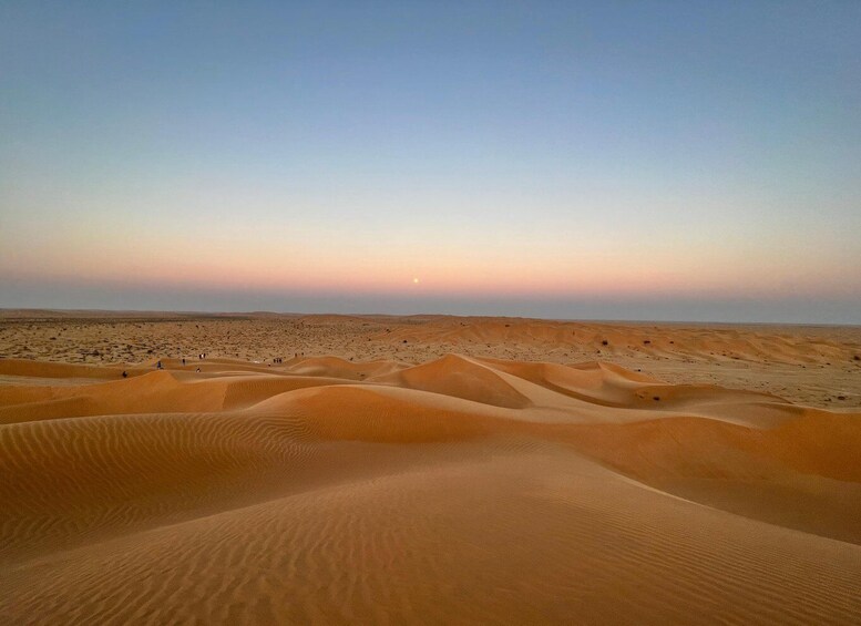 Picture 11 for Activity Salalah: Desert Safari & Sand Bashing in Empty Quarter