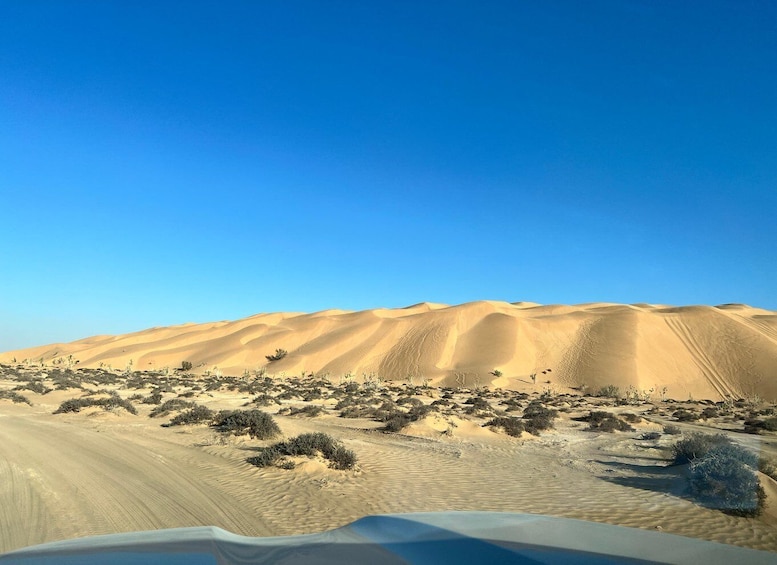 Picture 7 for Activity Salalah: Desert Safari & Sand Bashing in Empty Quarter