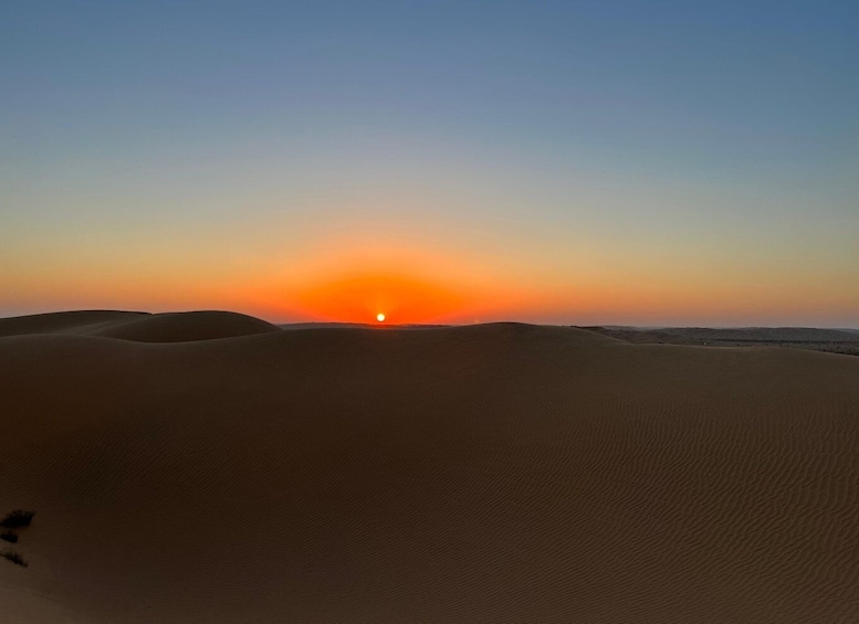 Picture 10 for Activity Salalah: Desert Safari & Sand Bashing in Empty Quarter