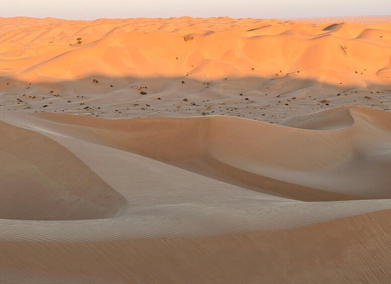 Picture 9 for Activity Salalah: Desert Safari & Sand Bashing in Empty Quarter