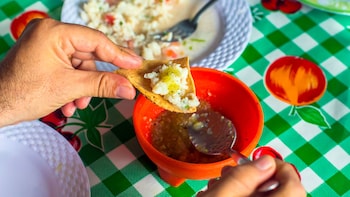 Cozumel Guided Culinary Tour