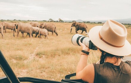 7 días de safari mágico por la vida silvestre en Tanzania