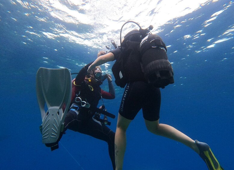 Picture 2 for Activity Scuba Diving 1 day course in Villasimius