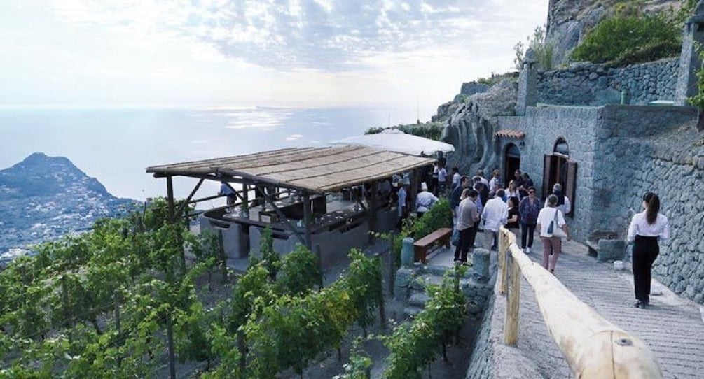 Picture 3 for Activity Ischia: Vineyard Tour & Wine Tasting Experience w/ Transfers
