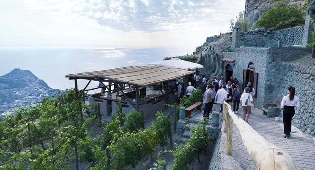 Picture 4 for Activity Ischia: Vineyard Tour & Wine Tasting Experience w/ Transfers