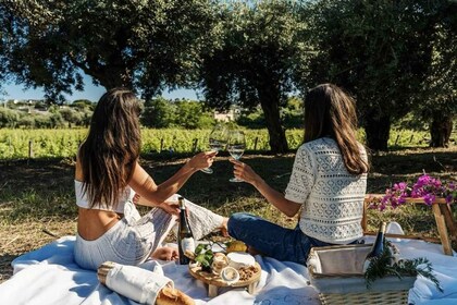 Ischia : Visite du vignoble et expérience de dégustation de vin avec transf...