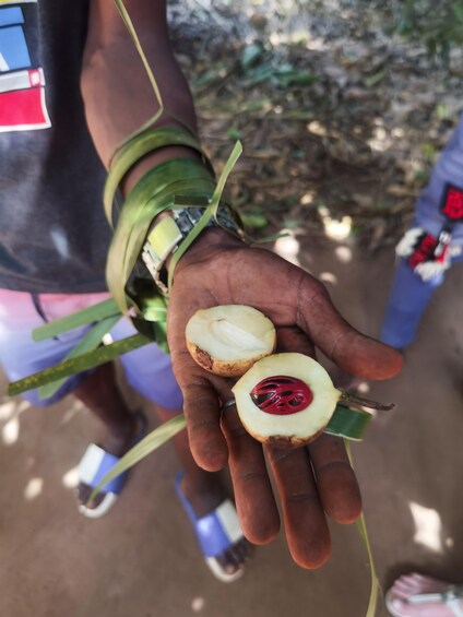 Picture 5 for Activity Zanzibar: Cooking Lesson and Spice farm tour