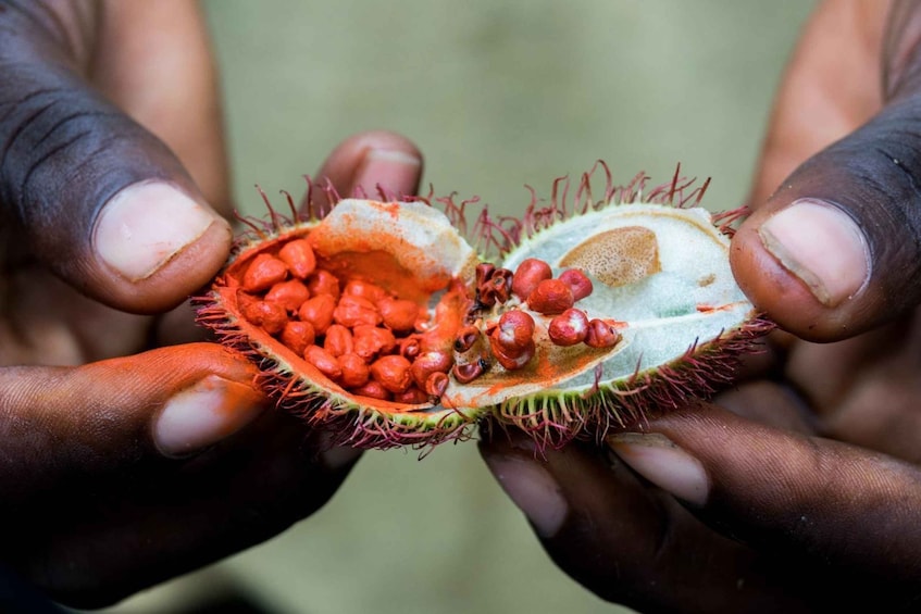 Picture 17 for Activity Zanzibar: Cooking Lesson and Spice farm tour