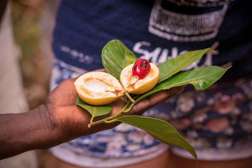 Picture 19 for Activity Zanzibar: Cooking Lesson and Spice farm tour