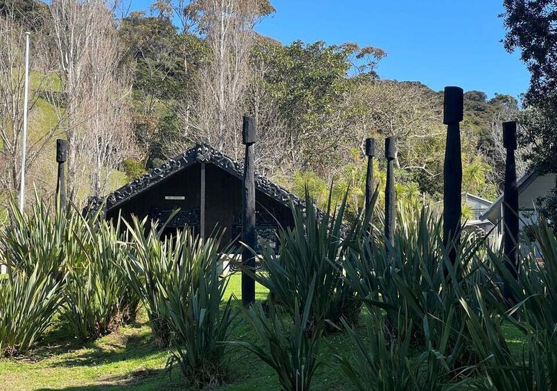 Picture 4 for Activity Waiheke Island: Full Day Guided History and Heritage Tour