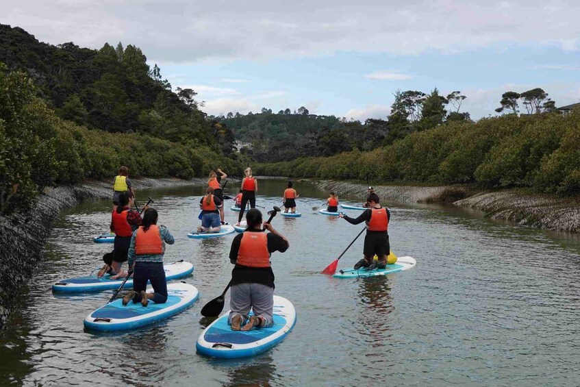 Picture 2 for Activity Lucas Creek Waterfall SuP Tour