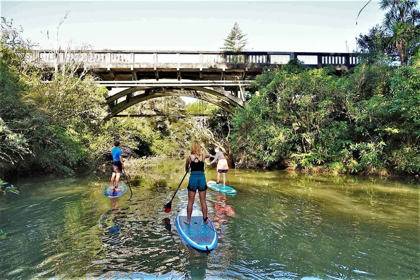 Picture 3 for Activity Lucas Creek Waterfall SuP Tour