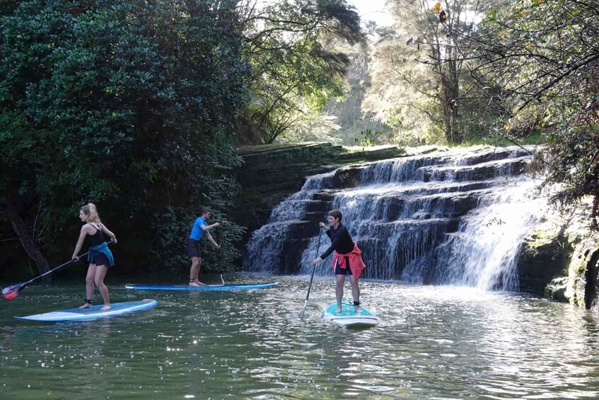 Picture 1 for Activity Lucas Creek Waterfall SuP Tour