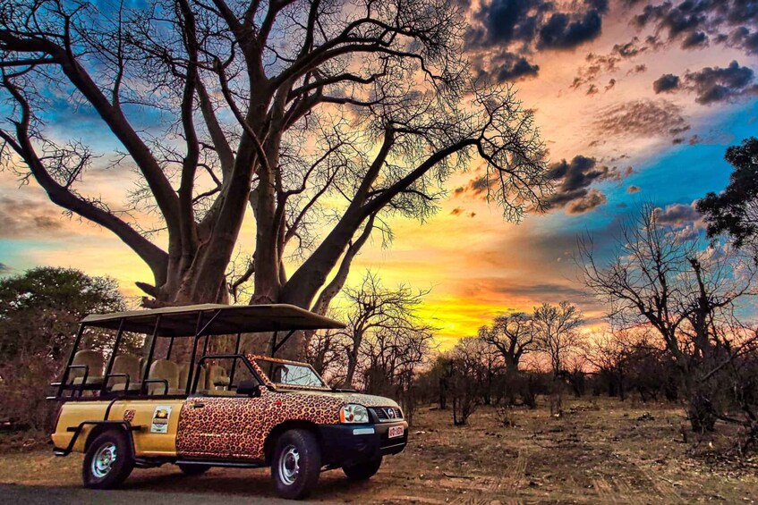 Victoria Falls: 4x4 Victoria Falls Sightseeing Tour