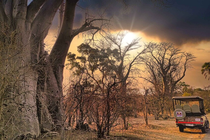 Picture 9 for Activity Victoria Falls: 4x4 Victoria Falls Sightseeing Tour