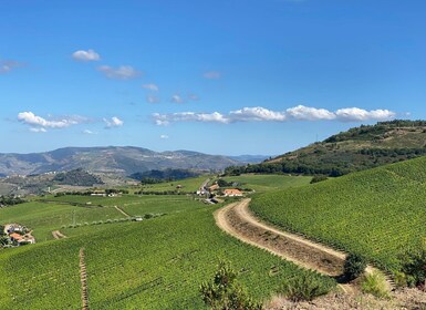 Quinta do Portal: walking with full lunch and wine tasting