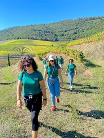 Quinta do Portal: walking with full lunch and wine tasting