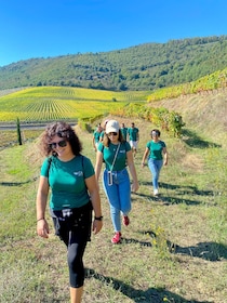 Douro: luxury walking with full lunch at Quinta do Portal