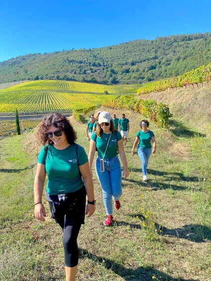 Douro: luxury walking with full lunch at Quinta do Portal