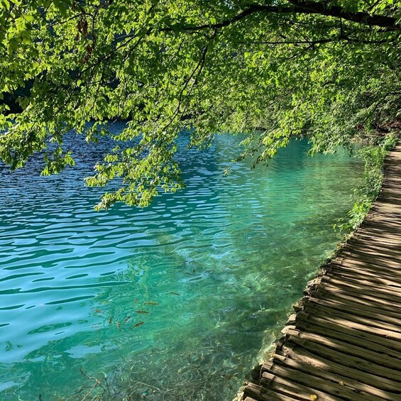 Picture 4 for Activity Plitvice Lakes National Park: Walking, Boat, and Train Tour