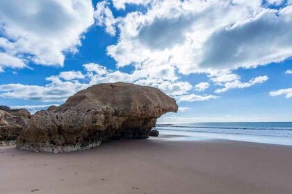 Recorrido terrestre por la costa y las playas del Algarve: recorrido privad...