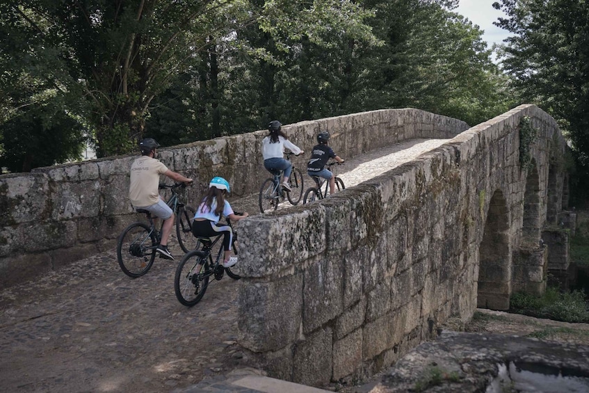 Picture 9 for Activity Marvão: bike tours in nature