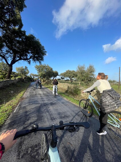 Marvão: bike tours in nature