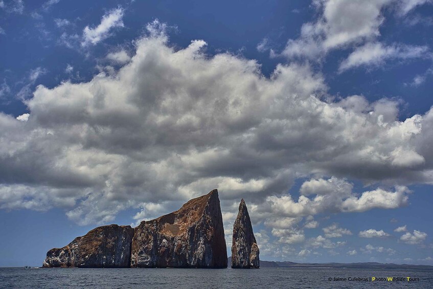 Picture 3 for Activity Puerto Baquerizo Moreno: Galapagos Full-day Tour