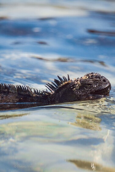 Galapagos full day 360 Tour