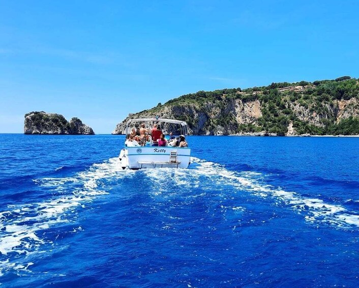 Picture 6 for Activity Palinuro: Boat Trip along the Coast & Blue Grotto Visit