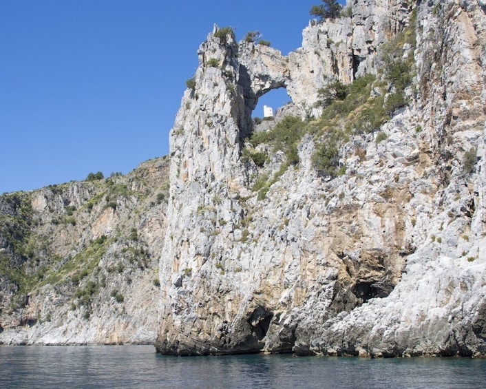 Picture 2 for Activity Palinuro: Boat Trip along the Coast & Blue Grotto Visit