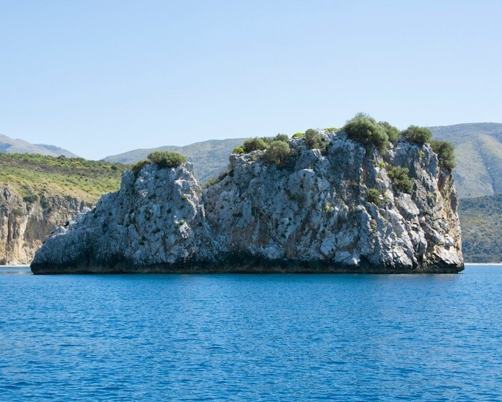 Picture 4 for Activity Palinuro: Boat Trip along the Coast & Blue Grotto Visit