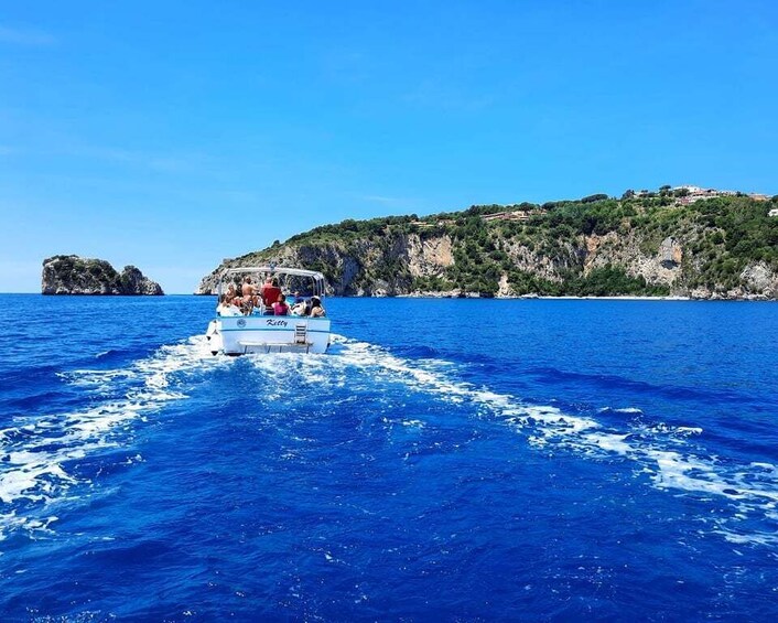 Picture 6 for Activity Palinuro: Boat Trip along the Coast & Blue Grotto Visit