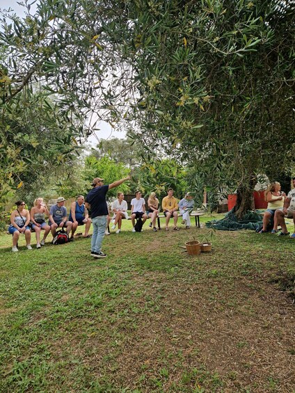 Picture 4 for Activity North Corfu Olive Tour with Olive Oil Tasting and Meze