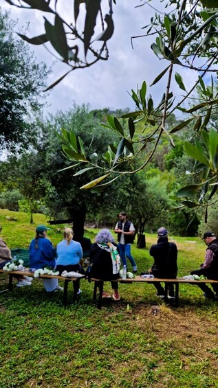 Picture 6 for Activity North Corfu Olive Tour with Olive Oil Tasting and Meze