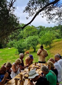 North Corfu Olive Tour with Olive Oil Tasting and Meze