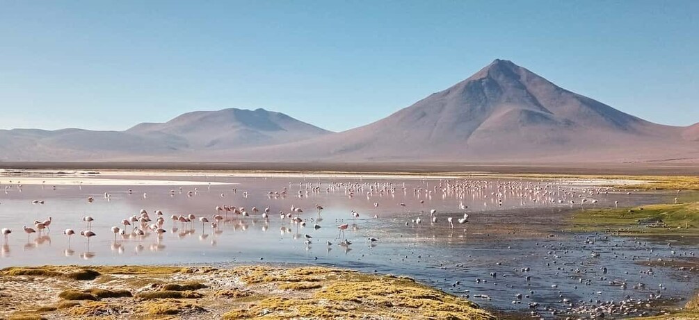 Picture 5 for Activity From La Paz: 2-Day Uyuni tour by flight