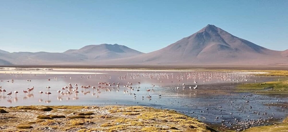 Picture 5 for Activity From La Paz: 2-Day Uyuni tour by flight