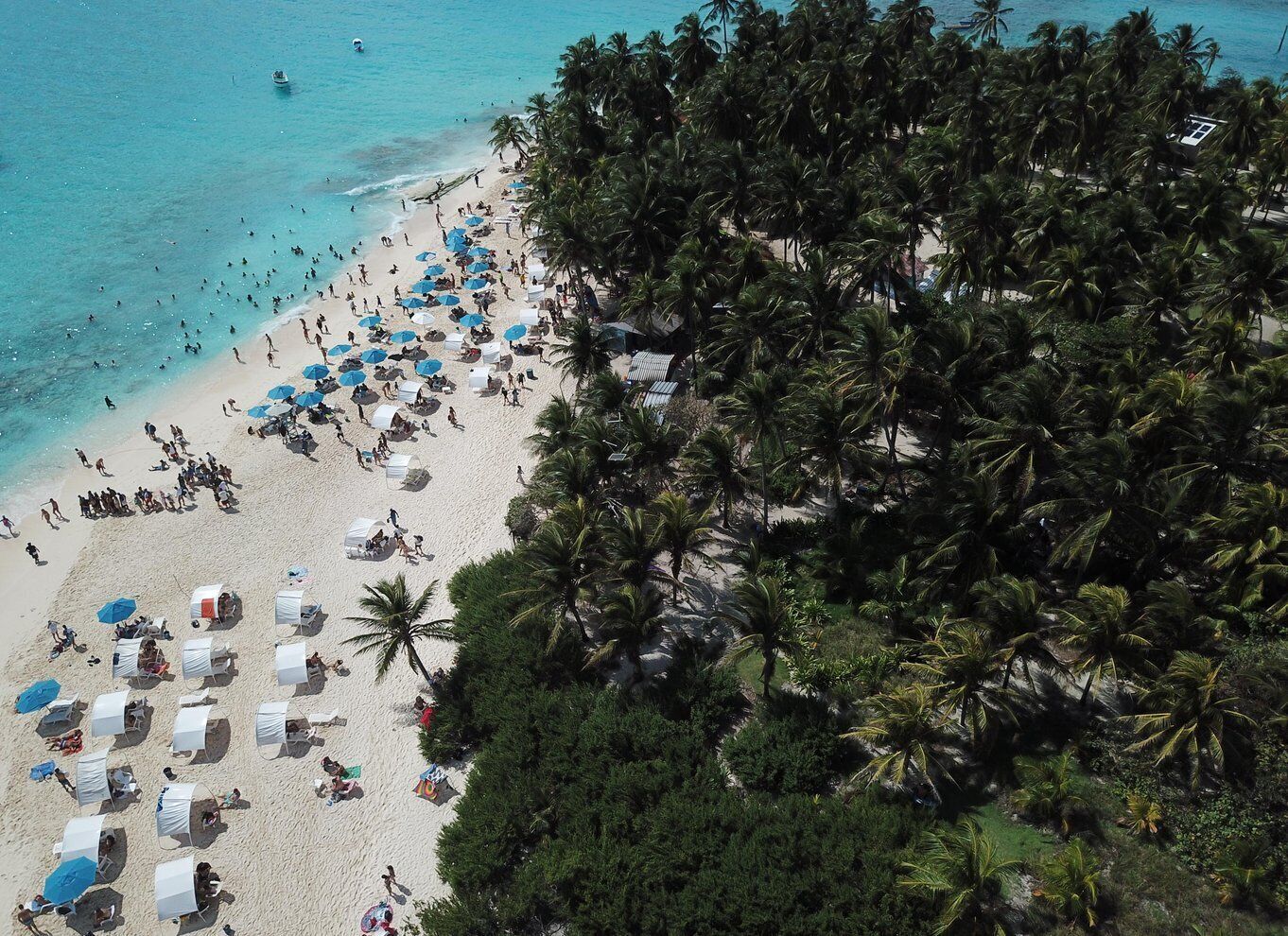 From San Andrés: Speedboat Tour to Johnny Cay Island