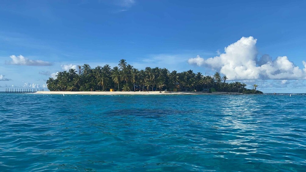 Picture 3 for Activity From San Andrés: Speedboat Tour to Johnny Cay Island