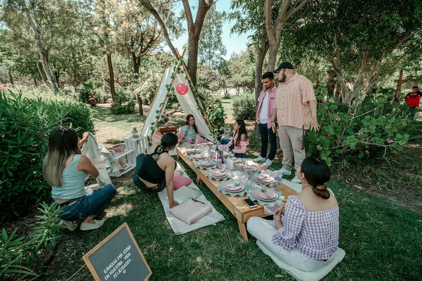Picture 7 for Activity Orlando: Unveil Your Perfect Picnic Experience!