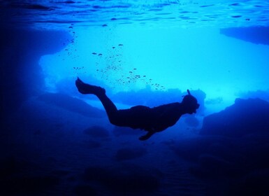 Aventura en lancha rápida, playa, habitación azul y snorkel en Curaçao