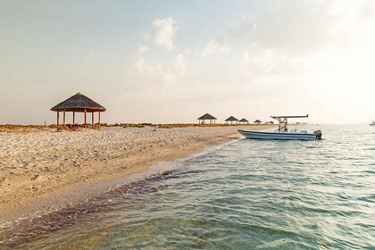 Doha : Bateau de l'île Al Safliya croisière Expérience