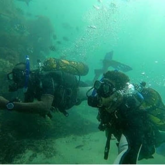 Picture 2 for Activity Dive with Ghalib in Kisite-Mpunguti Marine Park