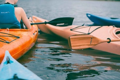 Canoë-kayak à Port City