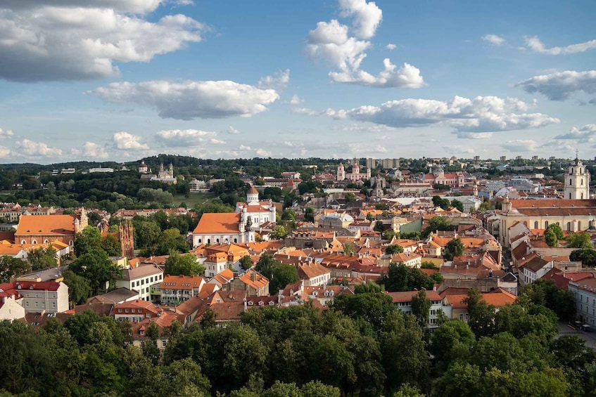 Picture 5 for Activity Vilnius: Express Walk with a Local in 60 minutes