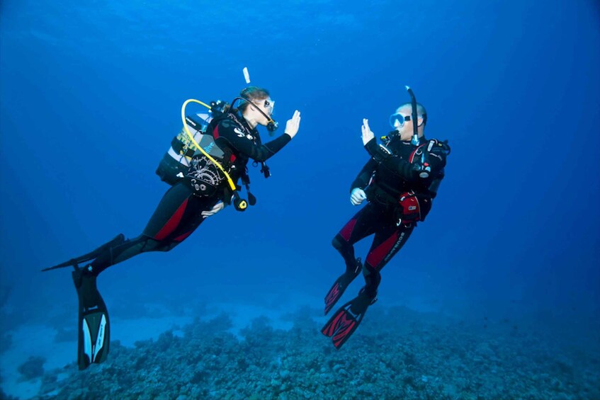 Picture 2 for Activity Sesimbra: Open Water Course