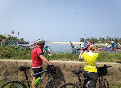 Kochi to Marari/ Kumarakom/ Alleppey Cycling Tour (Full Day)