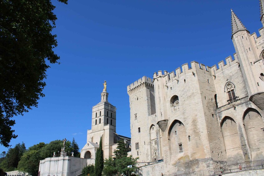 Picture 1 for Activity Avignon: Historic District Guided Food & Wine Walking Tour